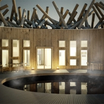 arctic spa bath