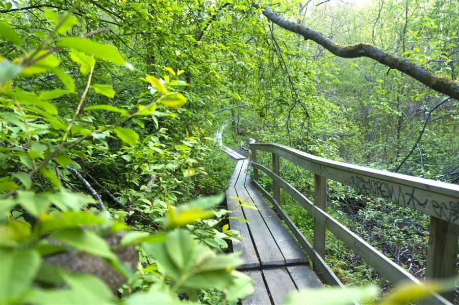 Tourujoki nature trail