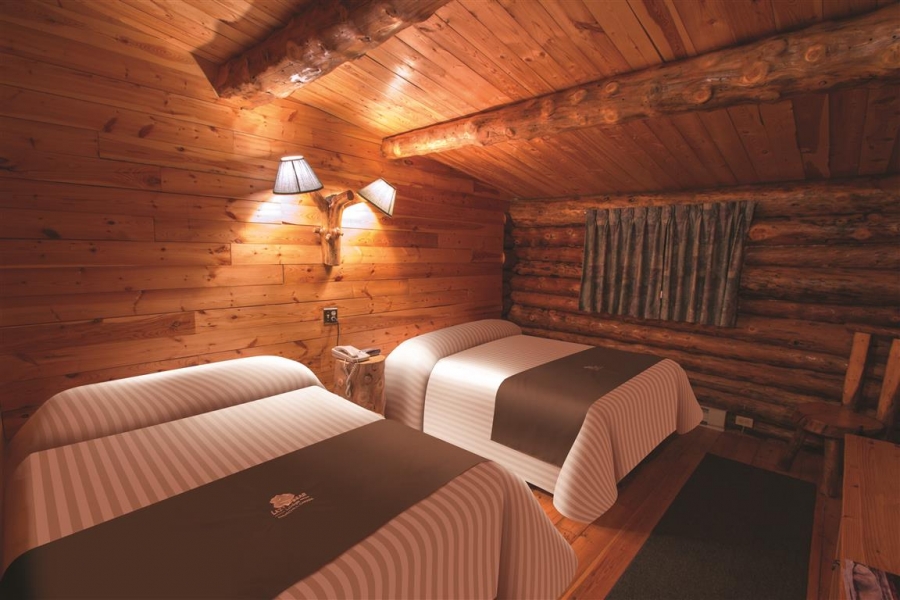 Lazy Bear Lodge - Room