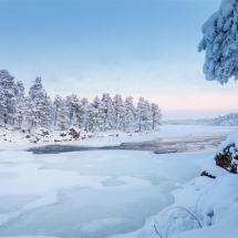 The Finnish wilderness