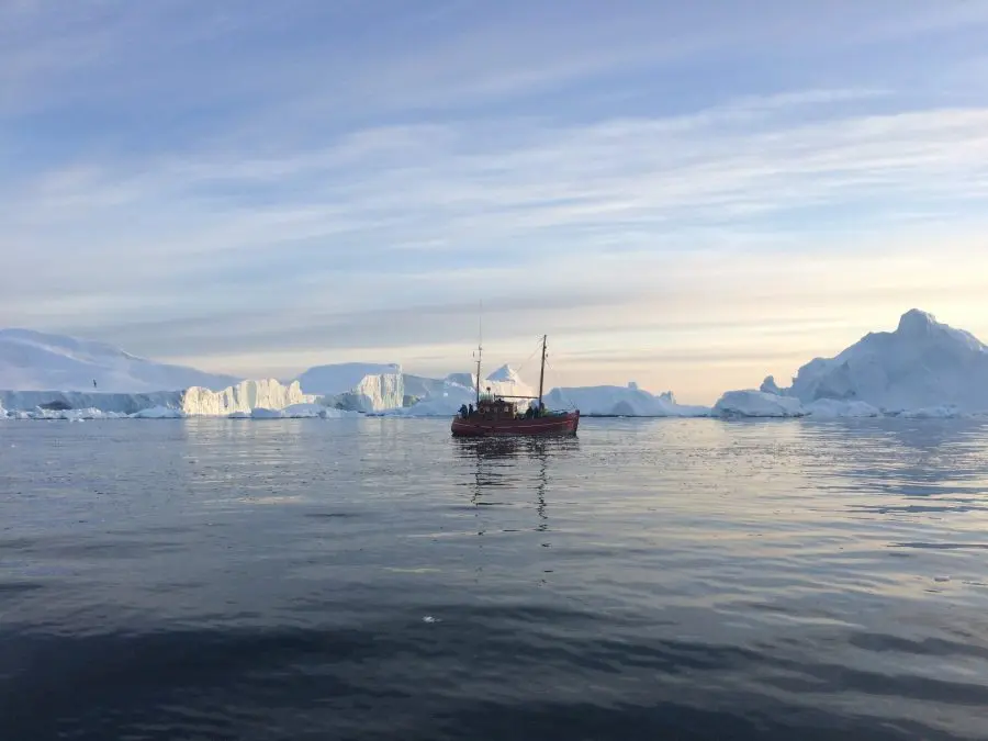 An arctic cruise - perfect for a coolcation!