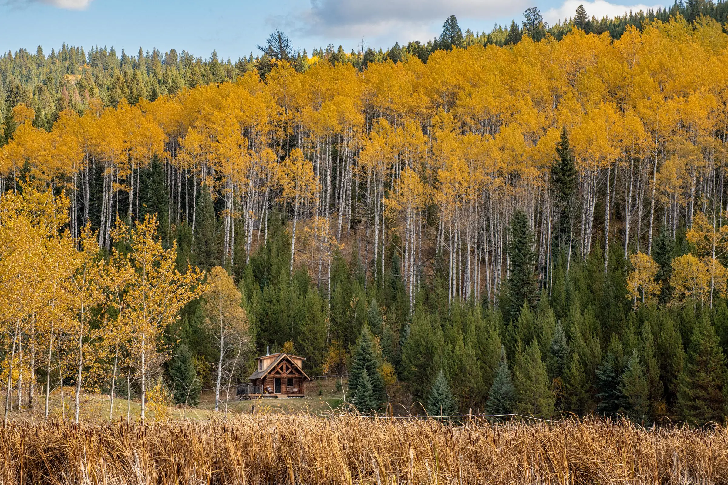 A log cabin surrounded by trees in a forest at Wolf Valley Ranch in Bridge Lake.
