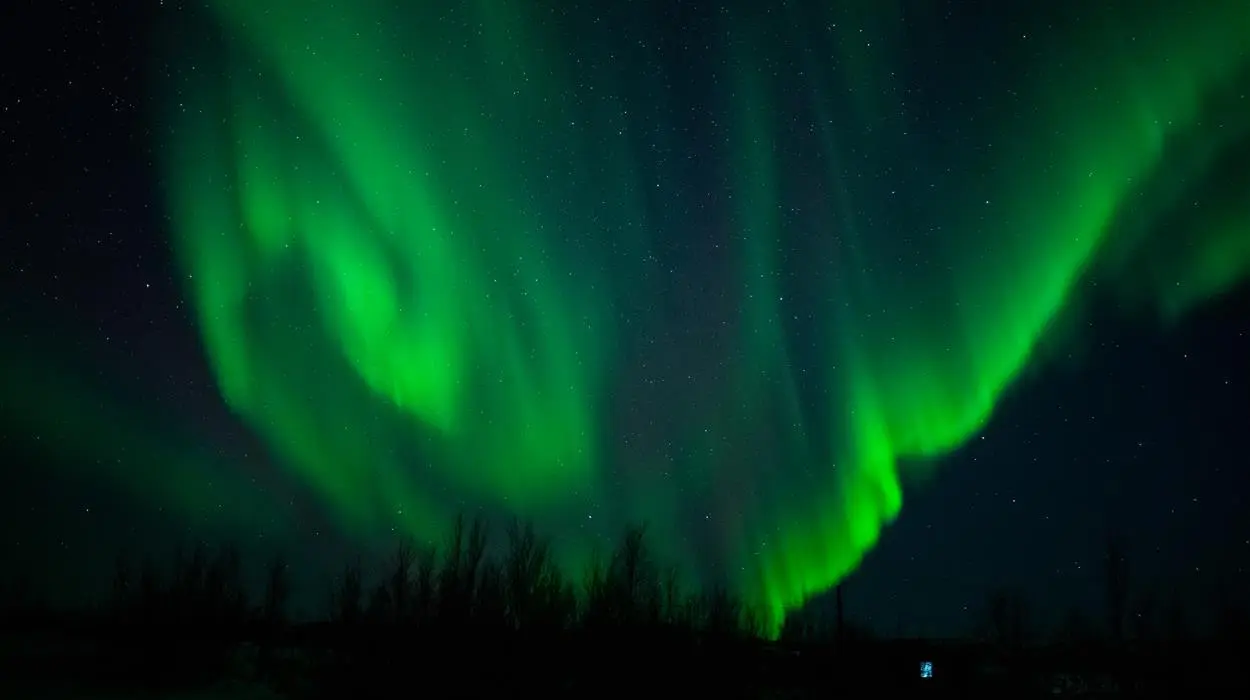 Northern Lights Chase (Holmen Lodge)