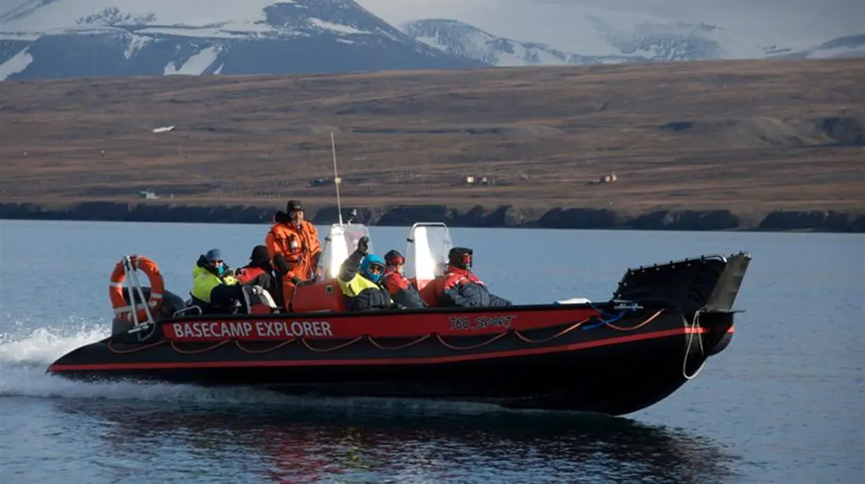 RIB Boat Safari from Isfjord Radio