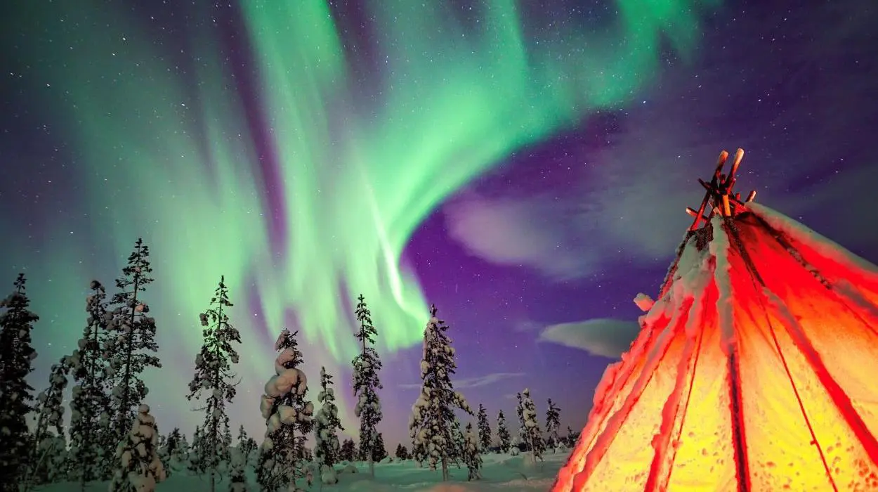 Northern Lights Wilderness Tour (Silver Birch Resort)