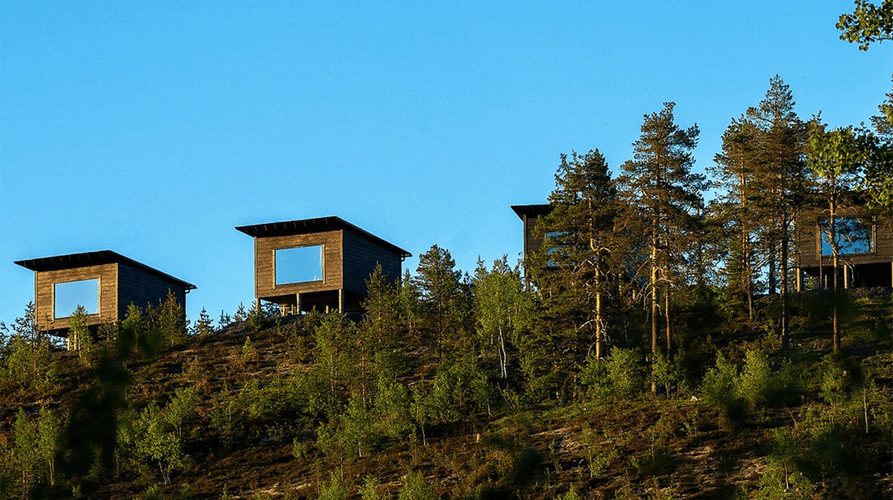 Arctic Giant Birdhouse Hotel