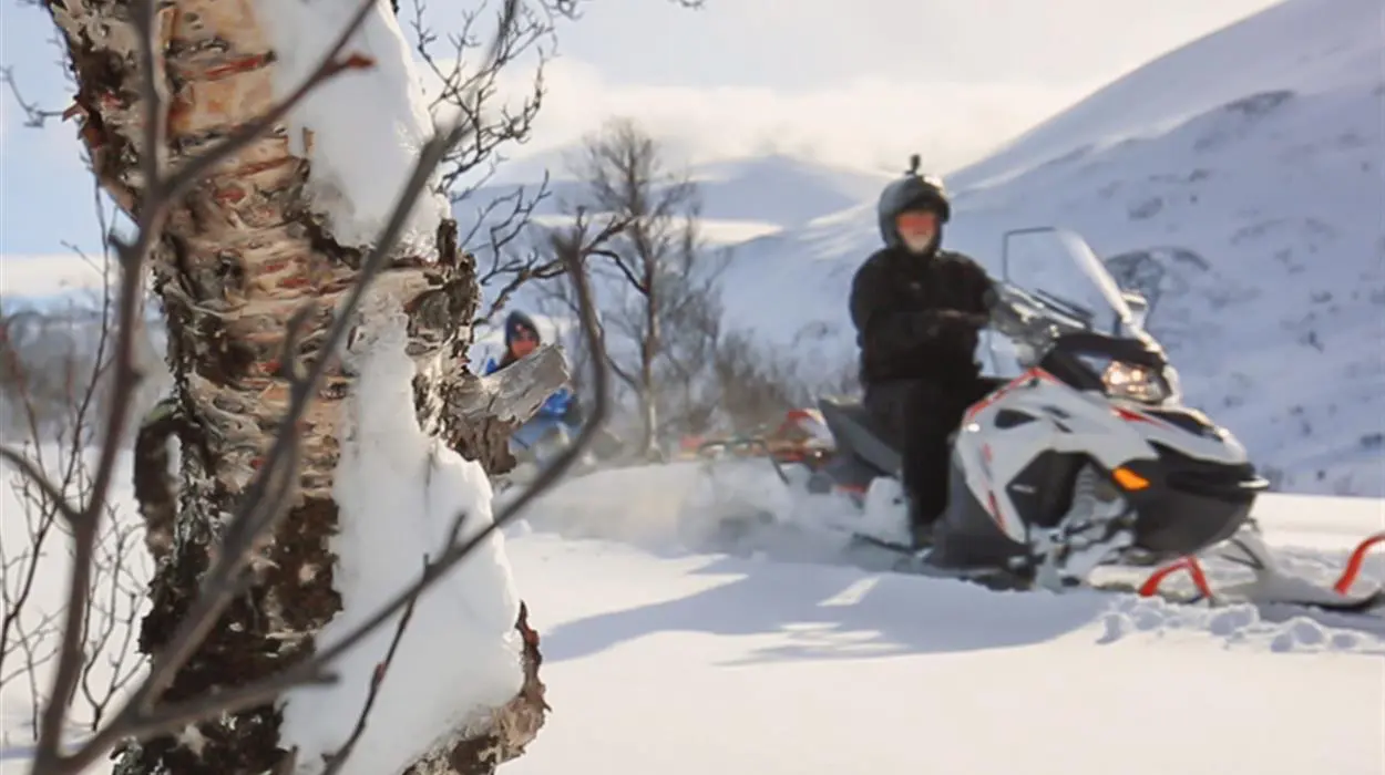Mountain Snowmobile Safari