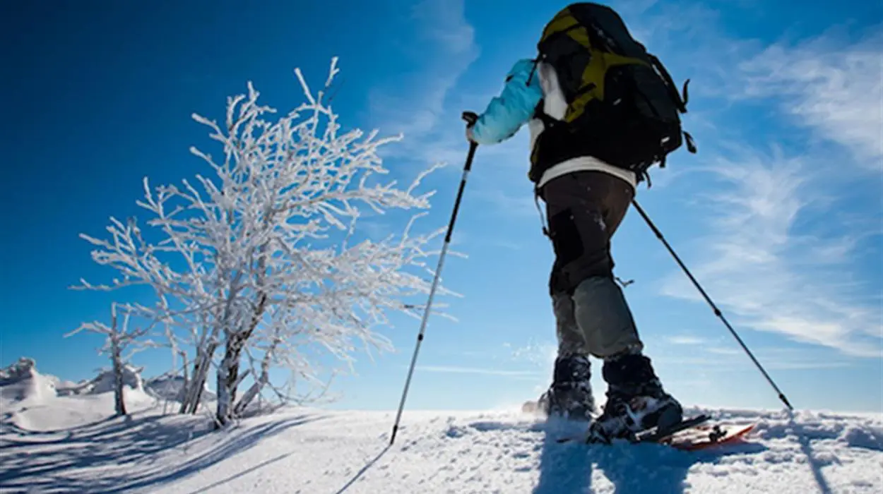 Guided Snowshoe Hike