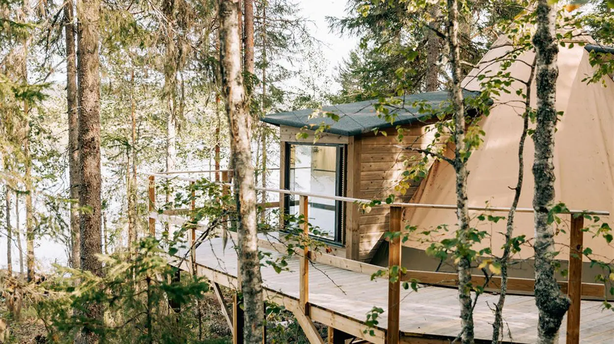 Aurora Safari Camp (summer)