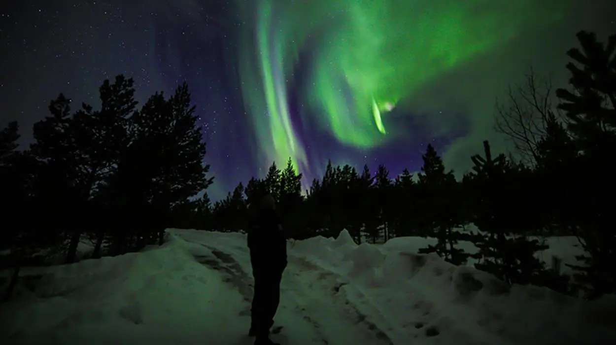 Aurora Snowshoeing (Nangu)