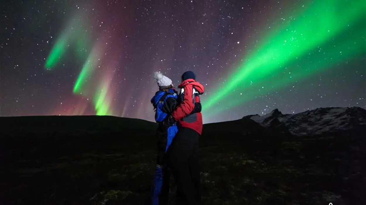 Aurora Safari by Minibus