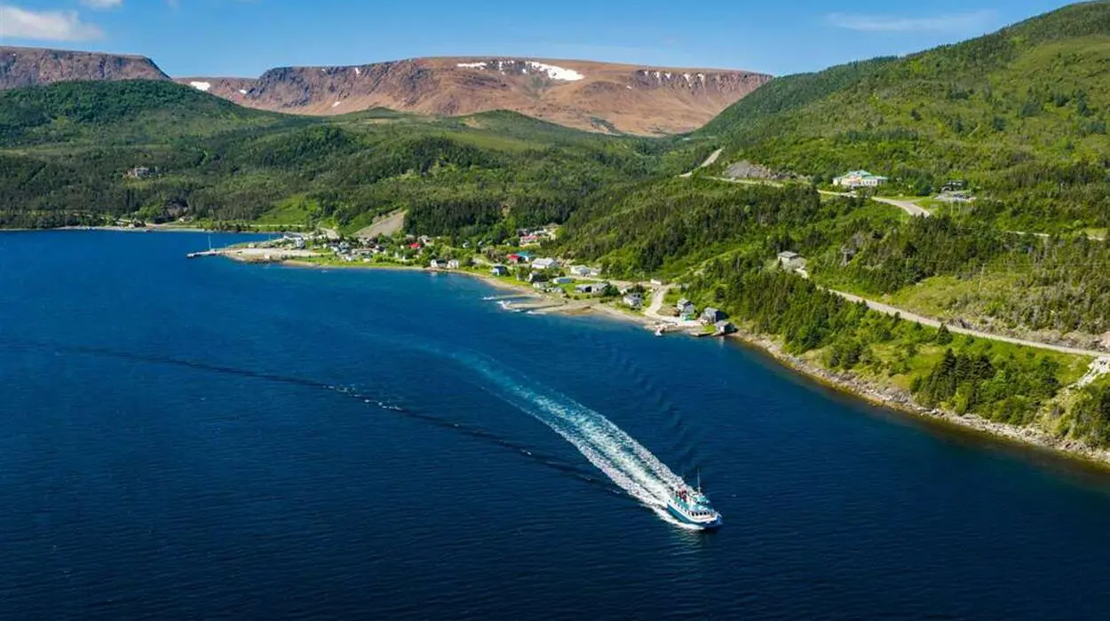 Bonne Bay Boat Tour
