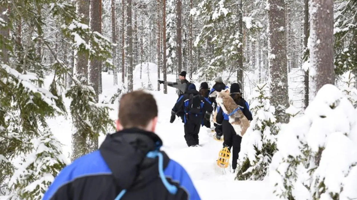 Nordic Winter Skills on snowshoes - incl lunch