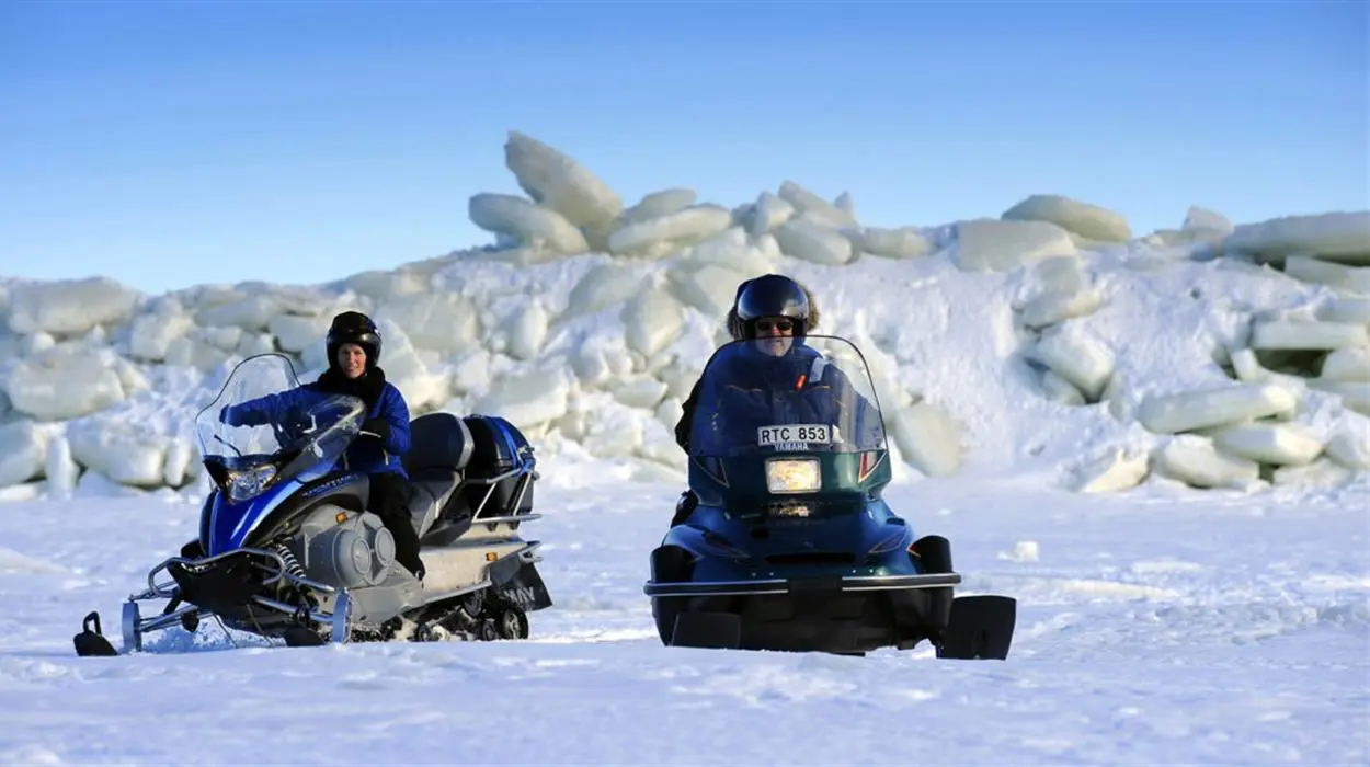 Pack Ice Nature Tour by Snowmobile