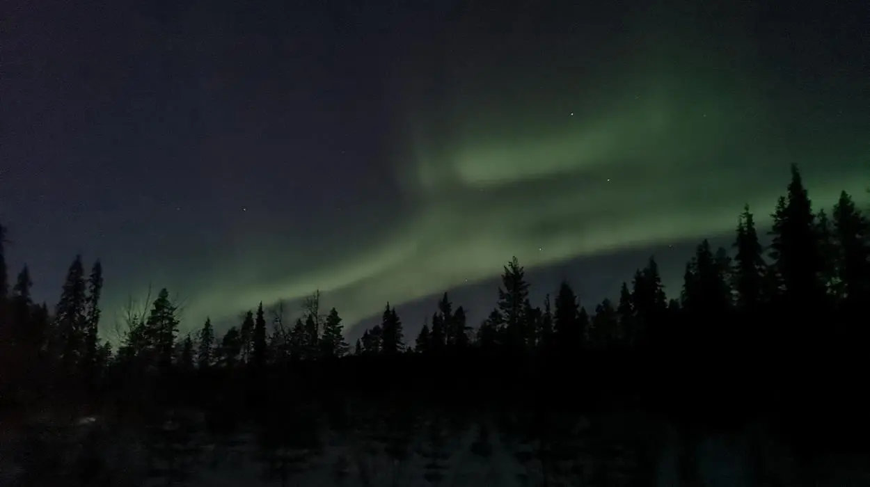 Evening Ski Tour Searching for the Northern Lights
