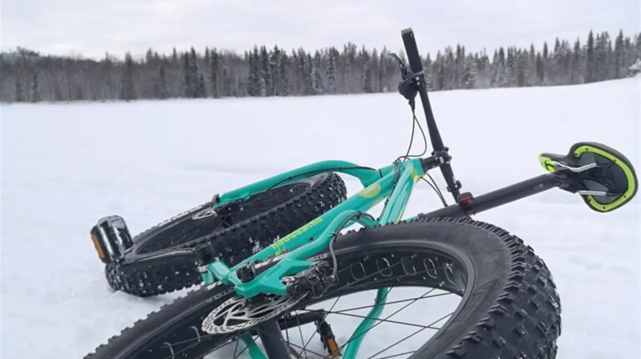 Skellefteå City Tour by Fatbike