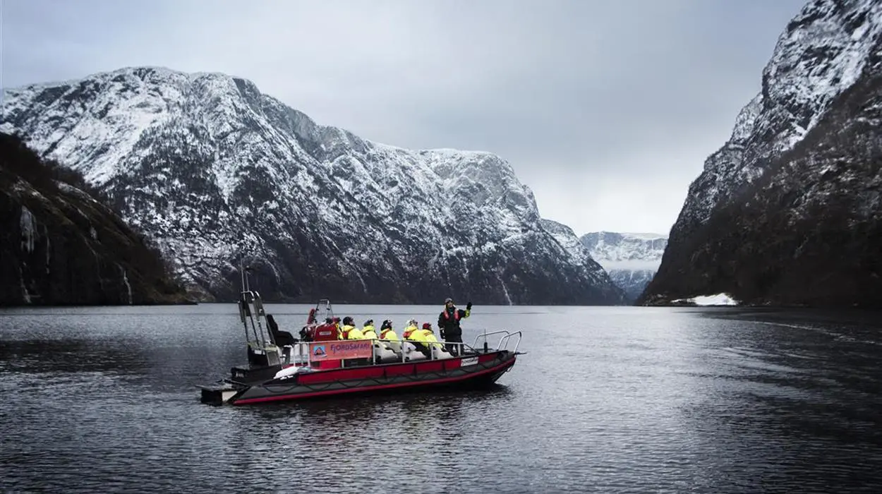 Winter Fjord Safari (90 minutes)