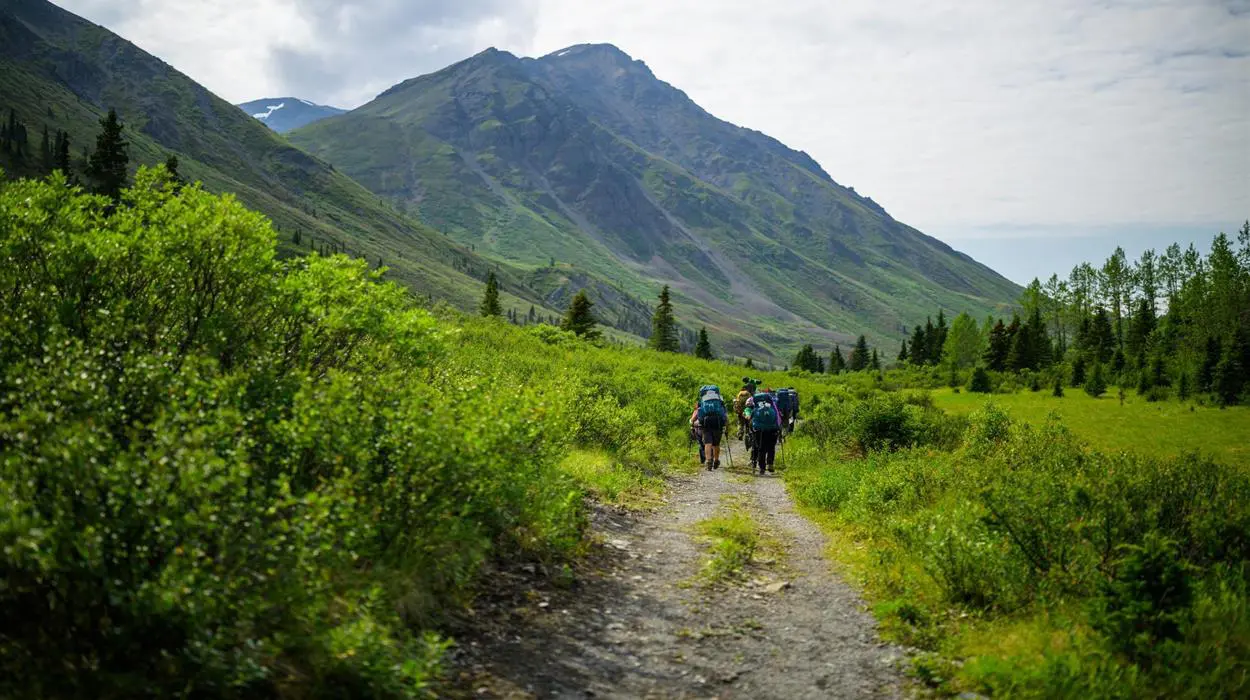 Half Day Guided Hike - Kluane National Park