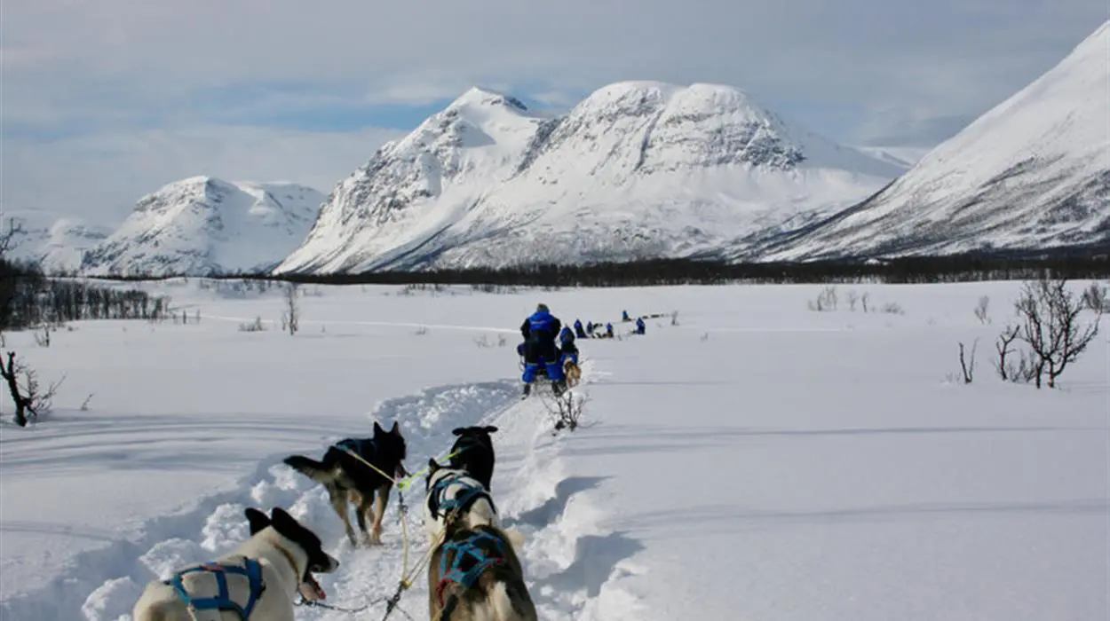 Dog-sledding Safari (Lyngen Experience)