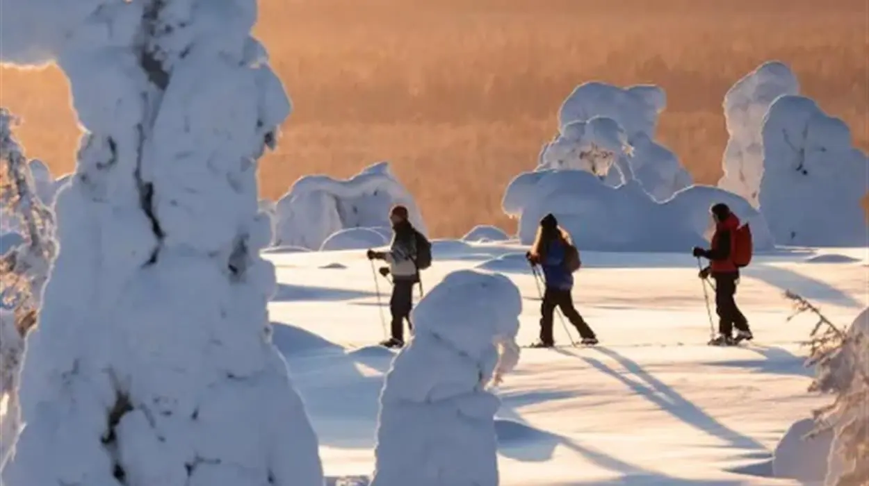Snowshoe walk at Magical Pond