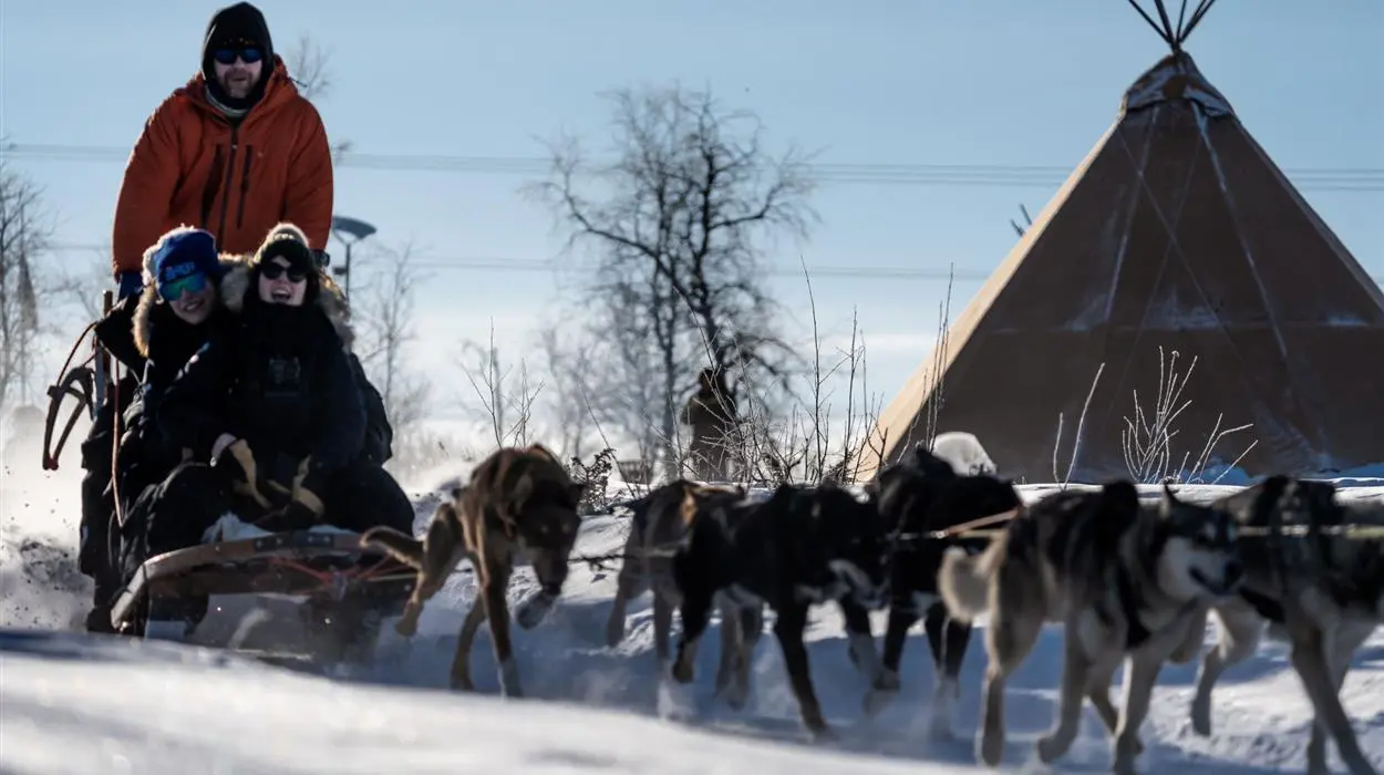 Dog-sledding with a guide from Mattarahkka Lodge