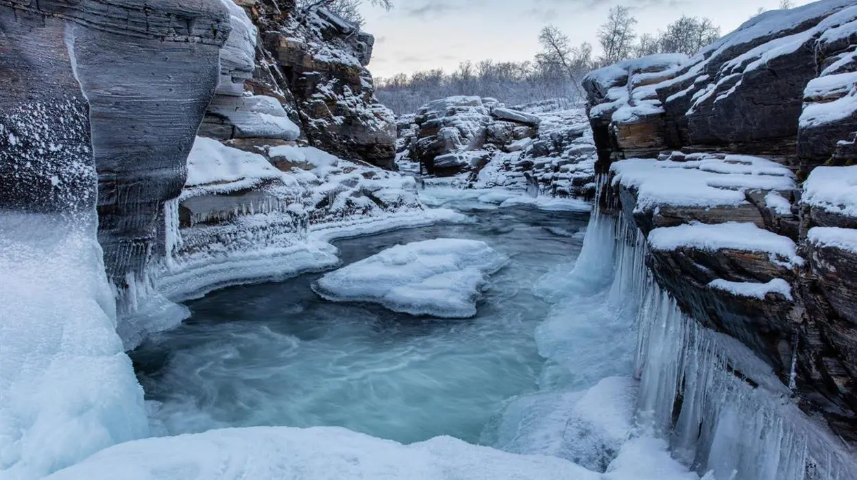 Morning Hike in Abisko National Park