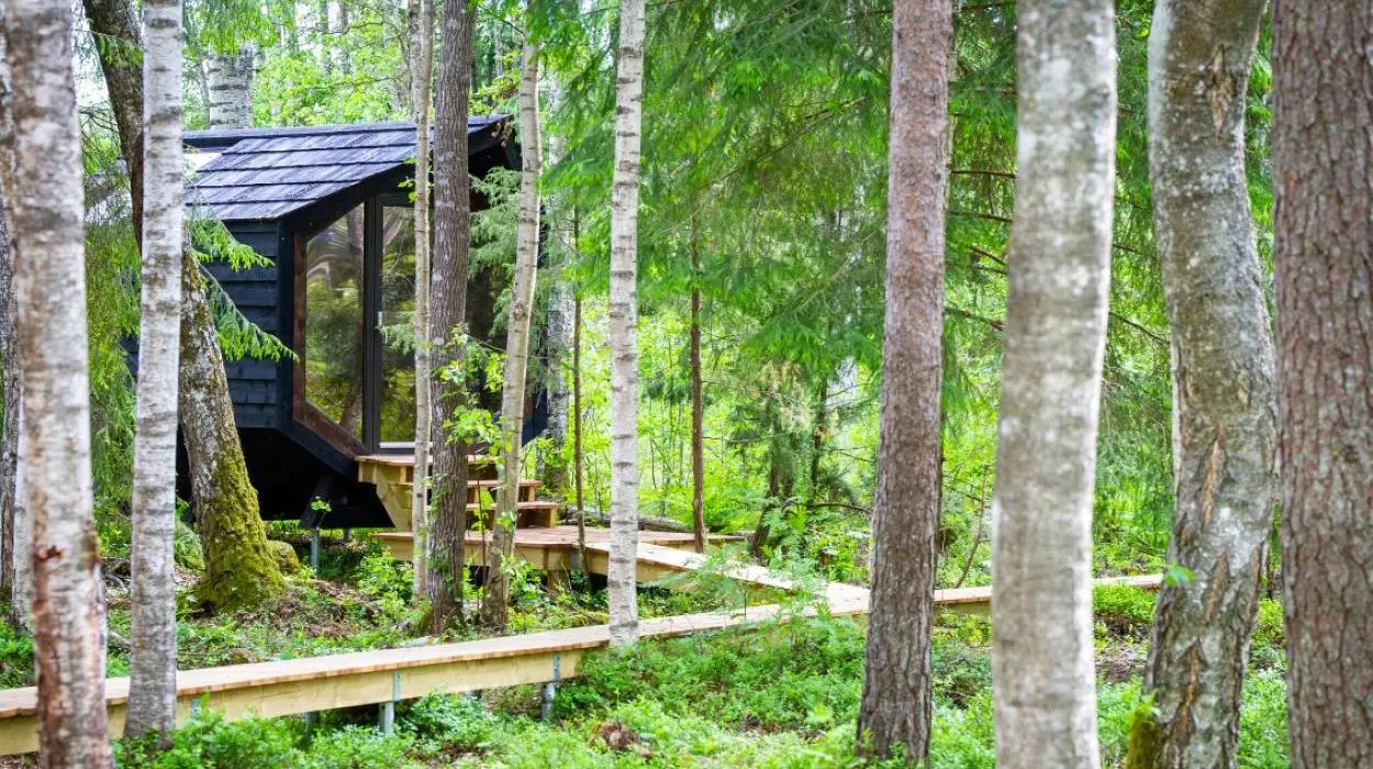 Boutique Nature Cabins