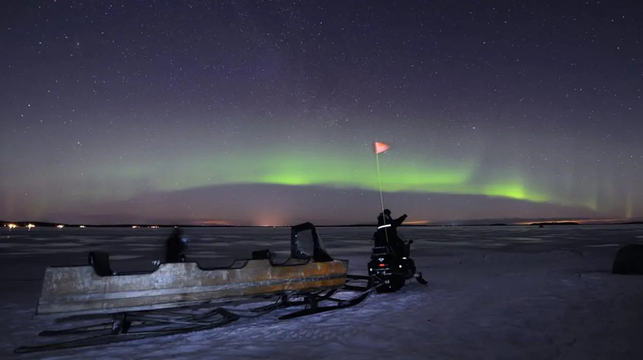 Northern Lights Nature Tour by Sled