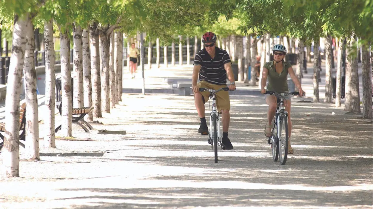 Montreal Plus Guided Bicycle Tour