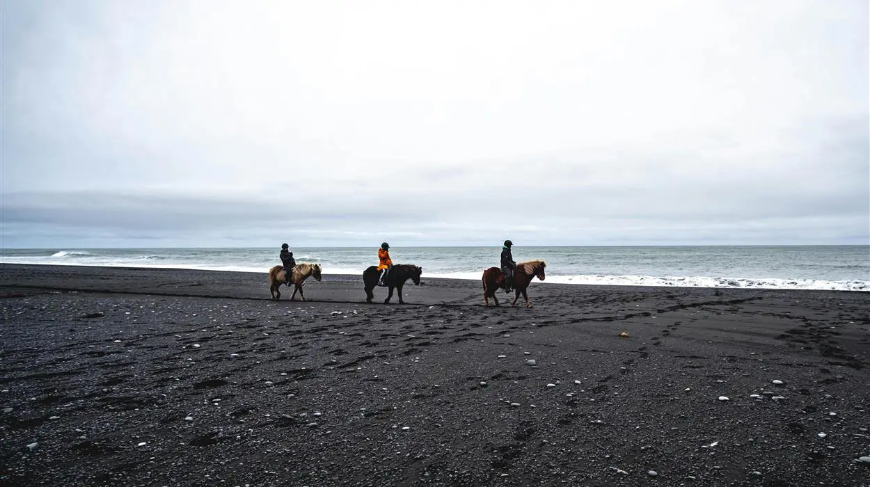 Black Beach Riding Tour