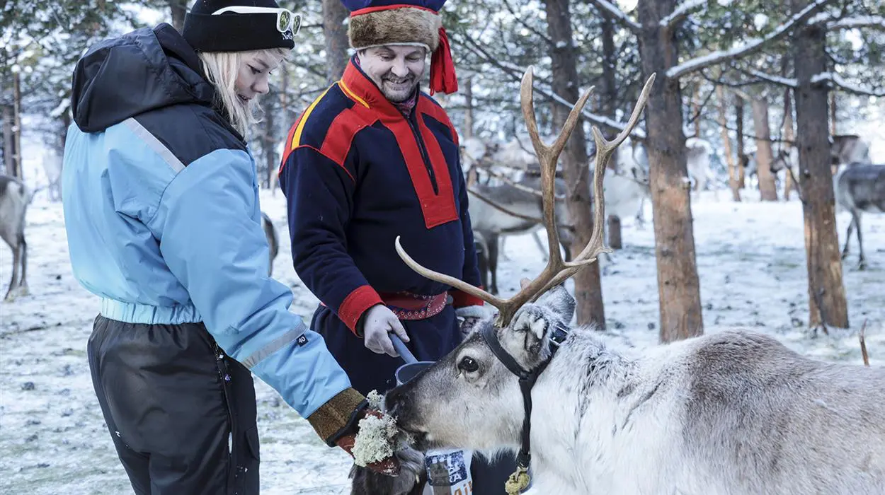 Reindeer Day by Snowmobile (Muotka)