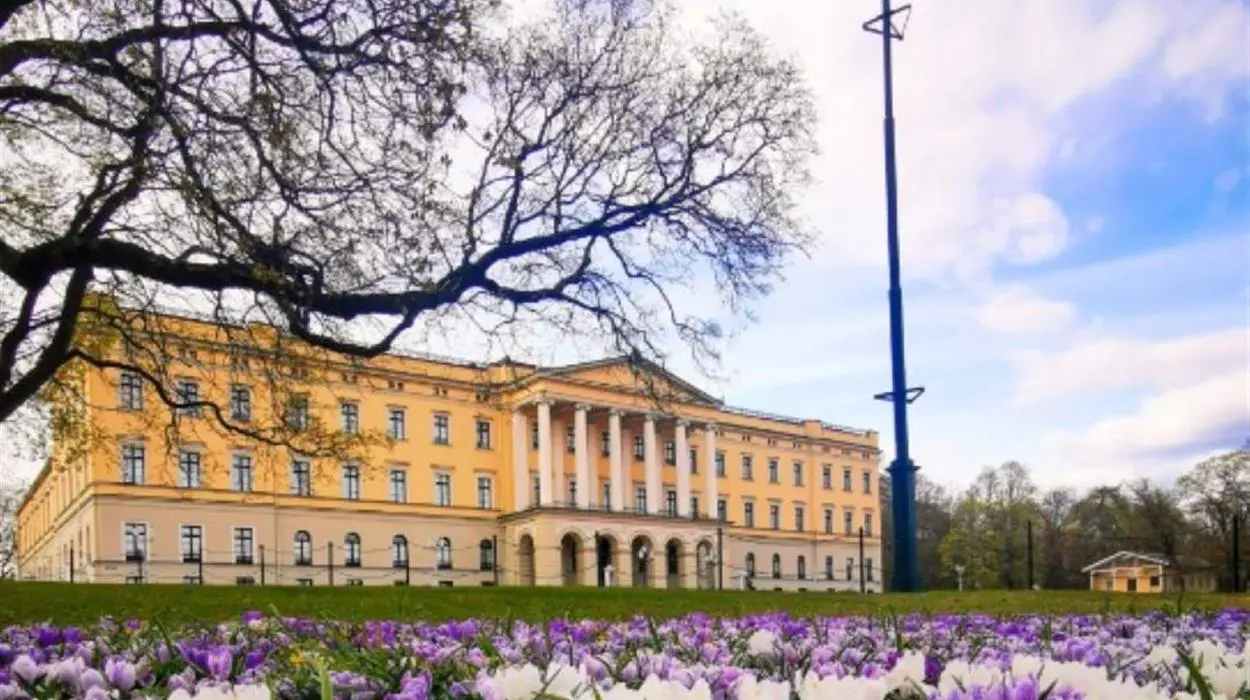 Private Oslo City Tour and National Museum