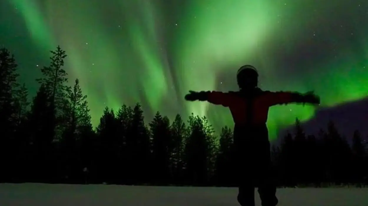 Sleigh ride under the Stars (Magical Pond)