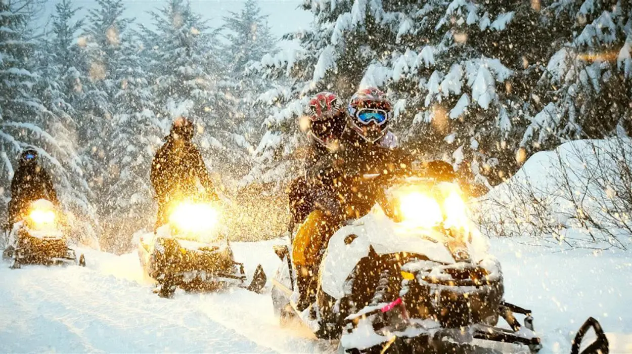 Half Day Snowmobile Safari with Lunch