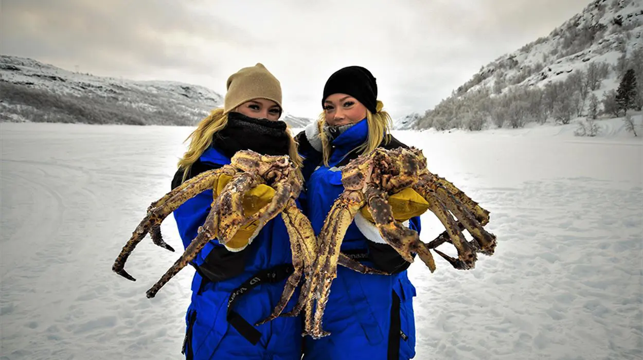 Winter King Crab Safari (Kirkenes)