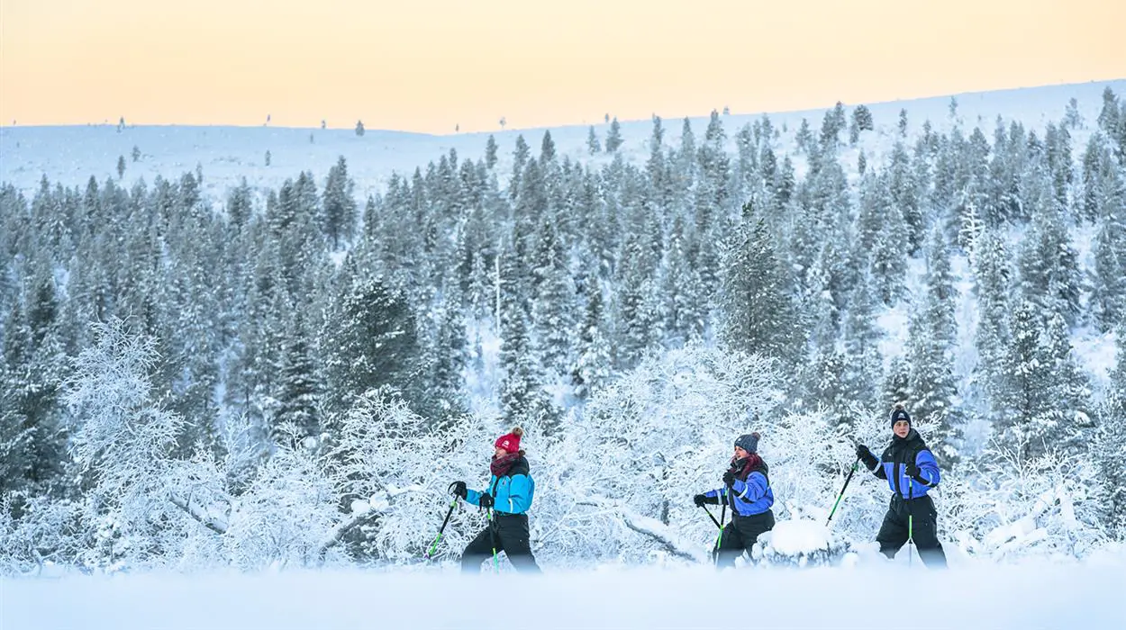 Gentle Snowshoeing (Juutua)