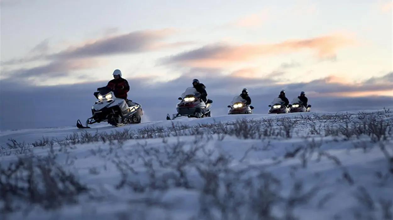 Arctic Light Snowmobile Experience at Sorrisniva