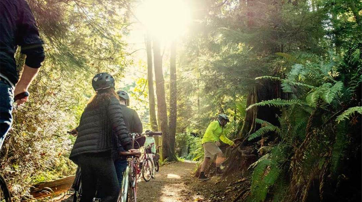 Stanley Park Guided Bike Tour