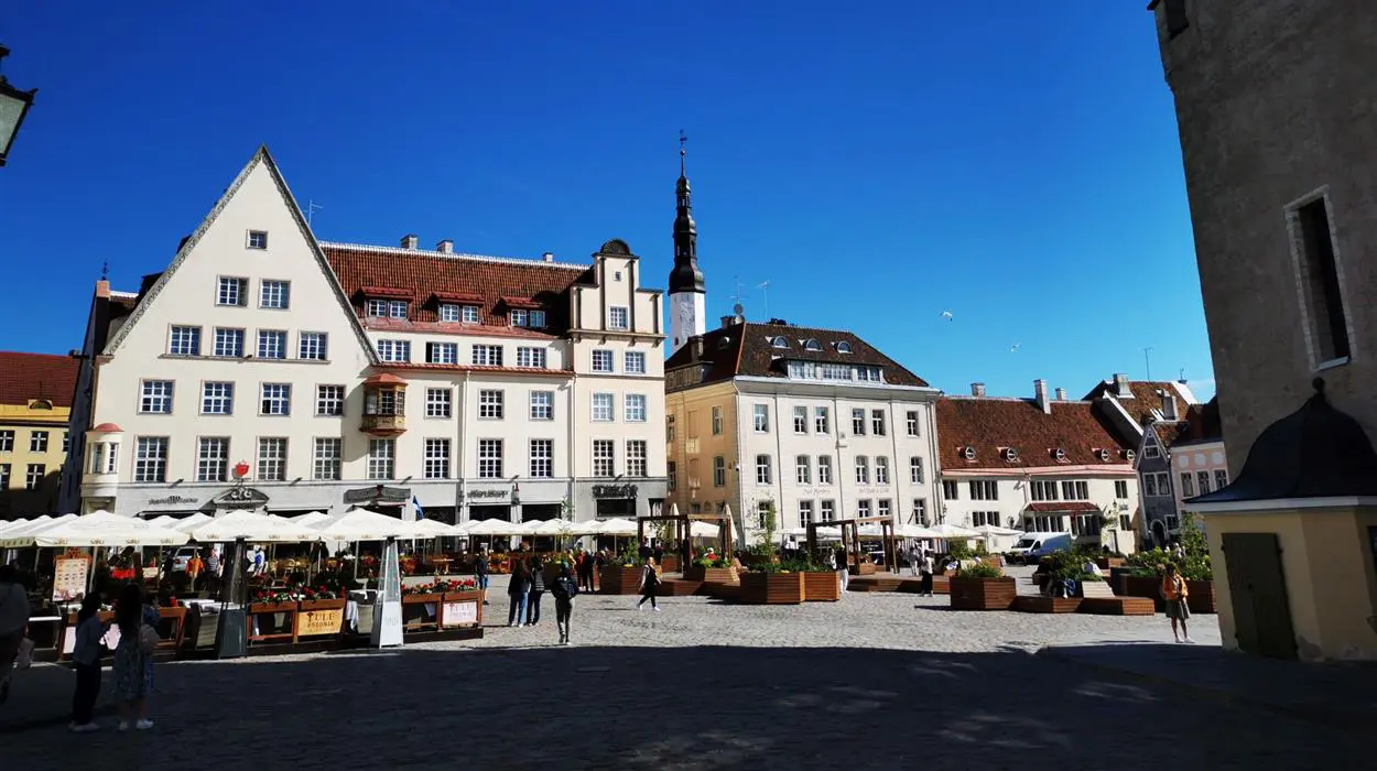 Private Walking Tour of Tallinn