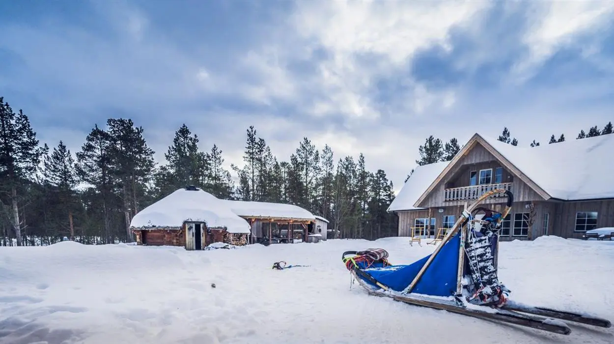 Trasti and Trine's Lodge