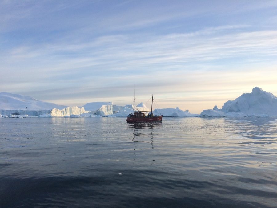 An arctic cruise - perfect for a coolcation!
