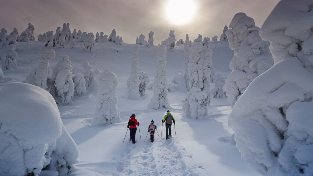 Ski and Activity Adventure break at Rukan Salonki Cabins