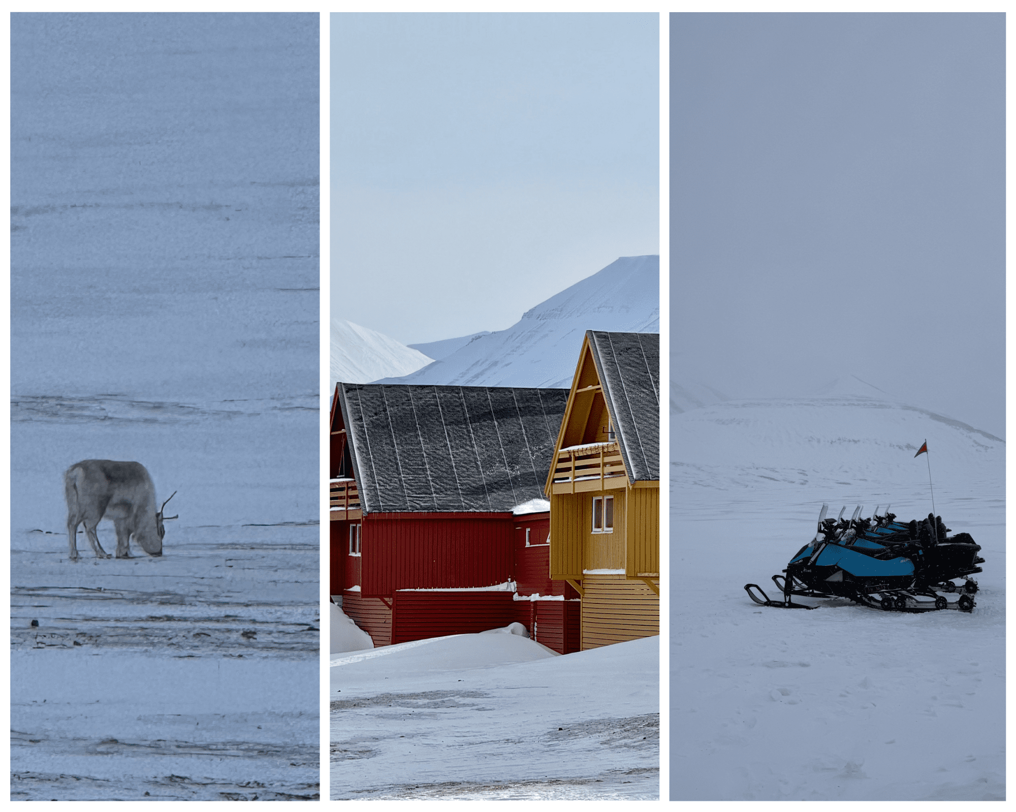 Raindeer Spotter while on excursion, colorful houses in longyearbyen and electric snow mobile with snowy backdrop 