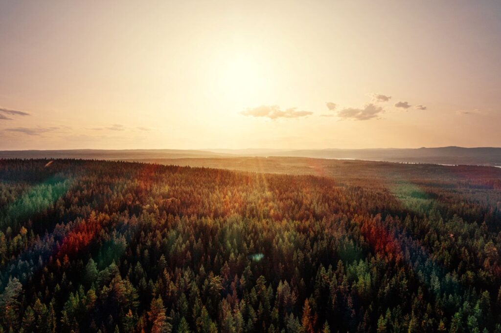 Luxury Collection: Stockholm and Authentic Dalarna