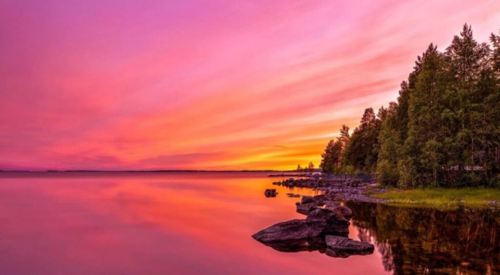 Lakes, Forests and Bears of Finland