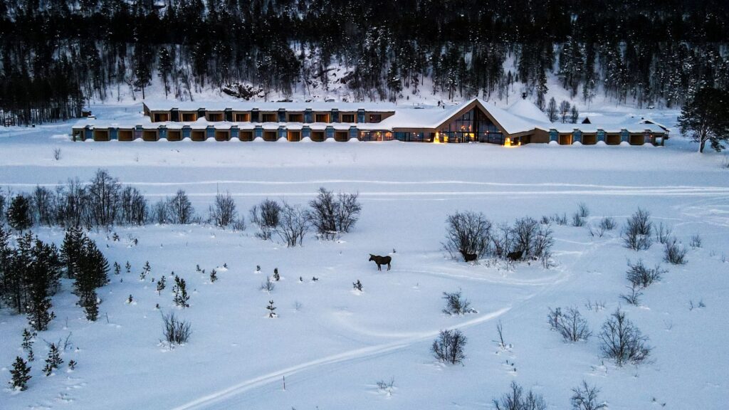 Northern Lights at the Igloo Hotel & Arctic Wilderness Lodge