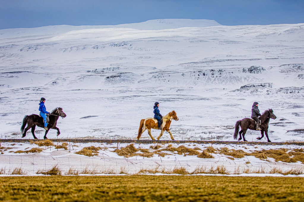 Iceland Family Holidays