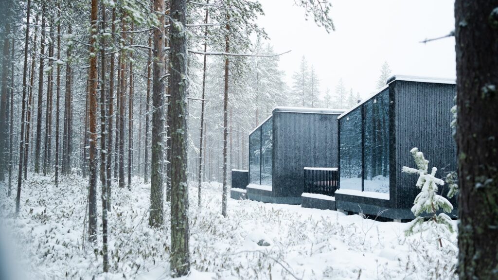 Chasing Lights and Carving Lines: A Hybrid Lapland Winter Adventure Holiday