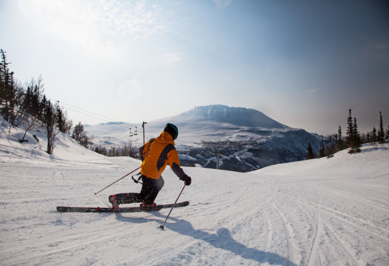 Ski