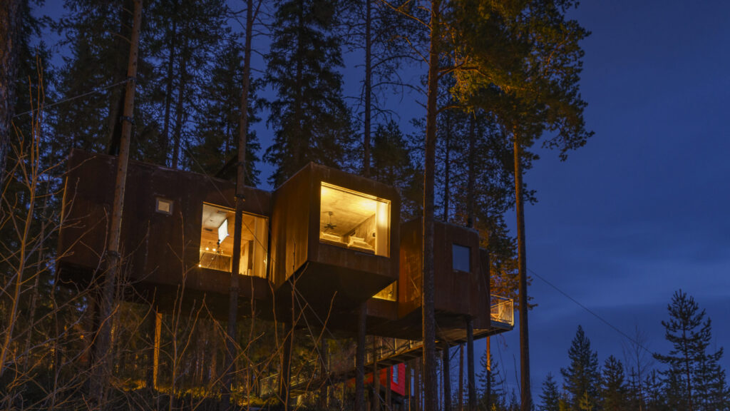 Sleeping Among the Pines: A Winter Escape to Sweden’s Treehotel